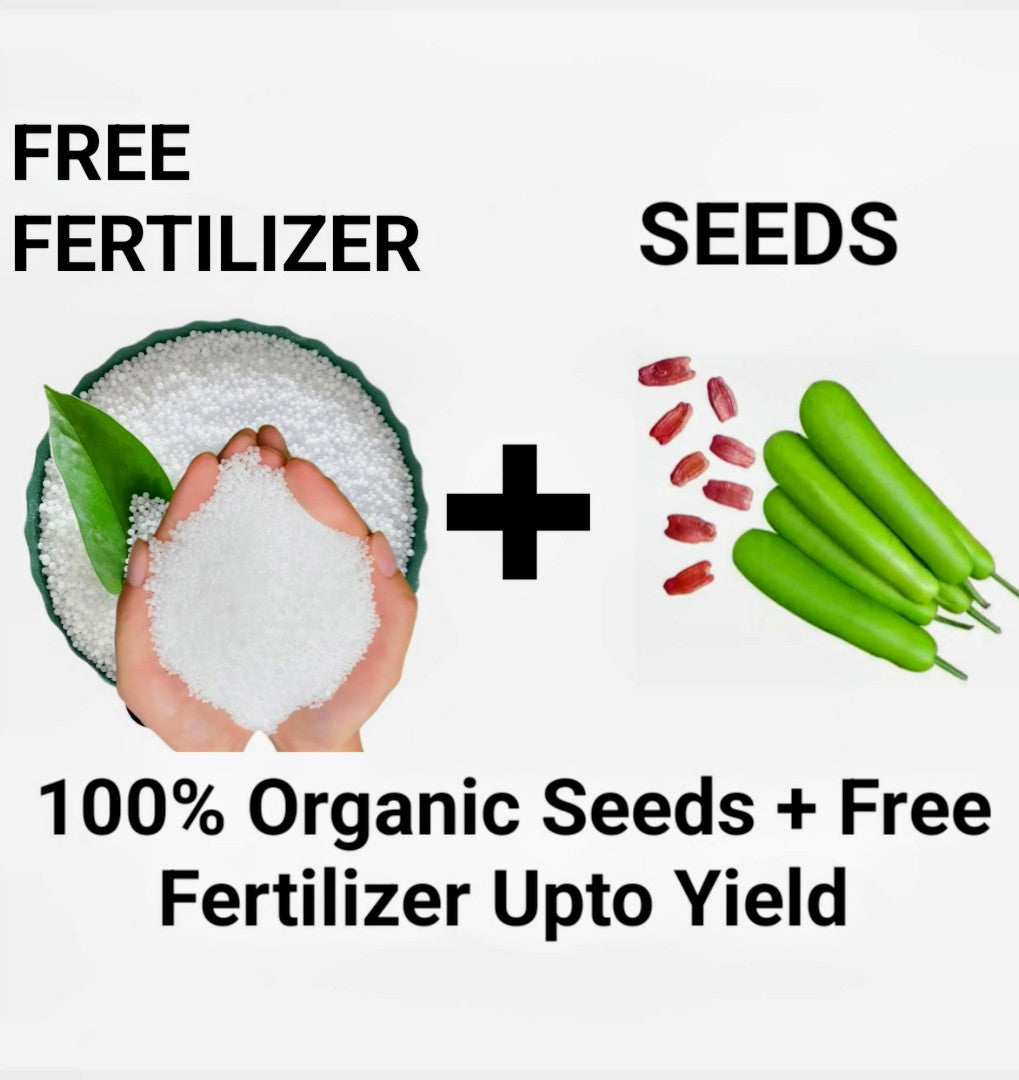 BGOS™ ORGANIC BOTTLE GOURD SEEDS + FREE FERTILIZER | NON-GMO, HEIRLOOM QUALITY | PERFECT FOR HOME GARDENS, KITCHEN GARDENS, BALCONY POTS & ORGANIC FARMING | JUICY, FLAVORFUL TOMATOES | IDEAL FOR CONTAINERS & GROW BAGS