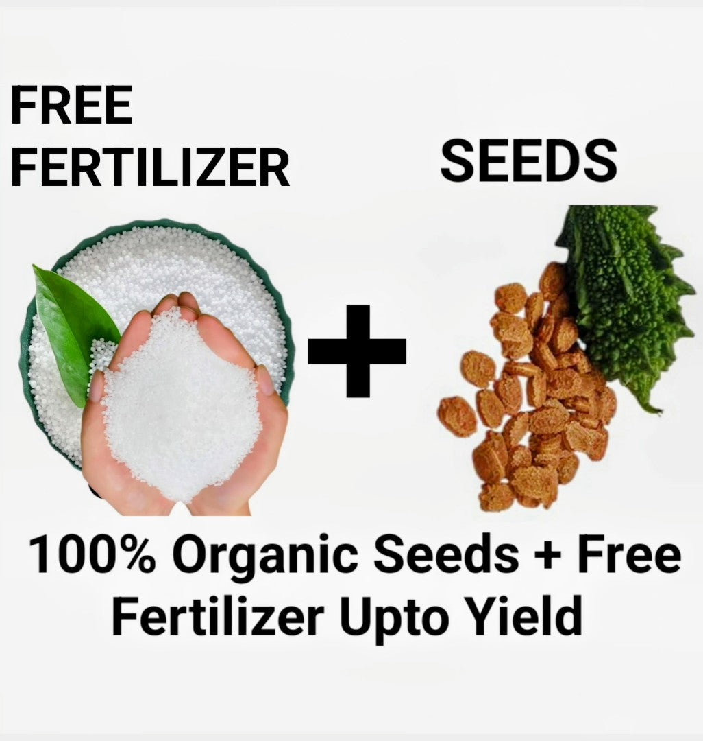 BGOS™ ORGANIC BITTER GOURD SEEDS + FREE FERTILIZER | NON-GMO, HEIRLOOM QUALITY | PERFECT FOR HOME GARDENS, KITCHEN GARDENS, BALCONY POTS & ORGANIC FARMING | JUICY, FLAVORFUL TOMATOES | IDEAL FOR CONTAINERS & GROW BAGS