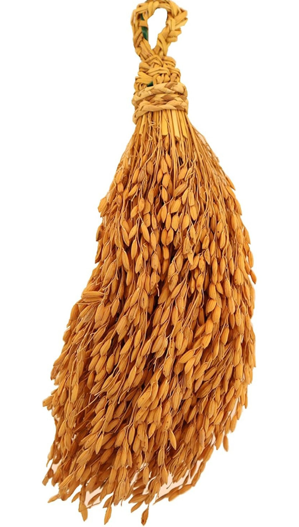 BGOS™ Natural Paddy Bunch Organic|250gms|Gucha|Hanging with Natural Paddy Grains|Decorative Hanging for Home and Pooja Room Decoration|