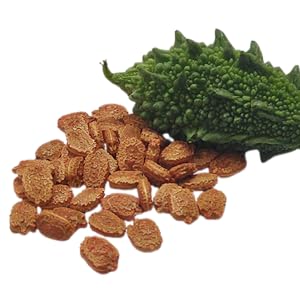 BGOS™ ORGANIC BITTER GOURD SEEDS + FREE FERTILIZER | NON-GMO, HEIRLOOM QUALITY | PERFECT FOR HOME GARDENS, KITCHEN GARDENS, BALCONY POTS & ORGANIC FARMING | JUICY, FLAVORFUL TOMATOES | IDEAL FOR CONTAINERS & GROW BAGS